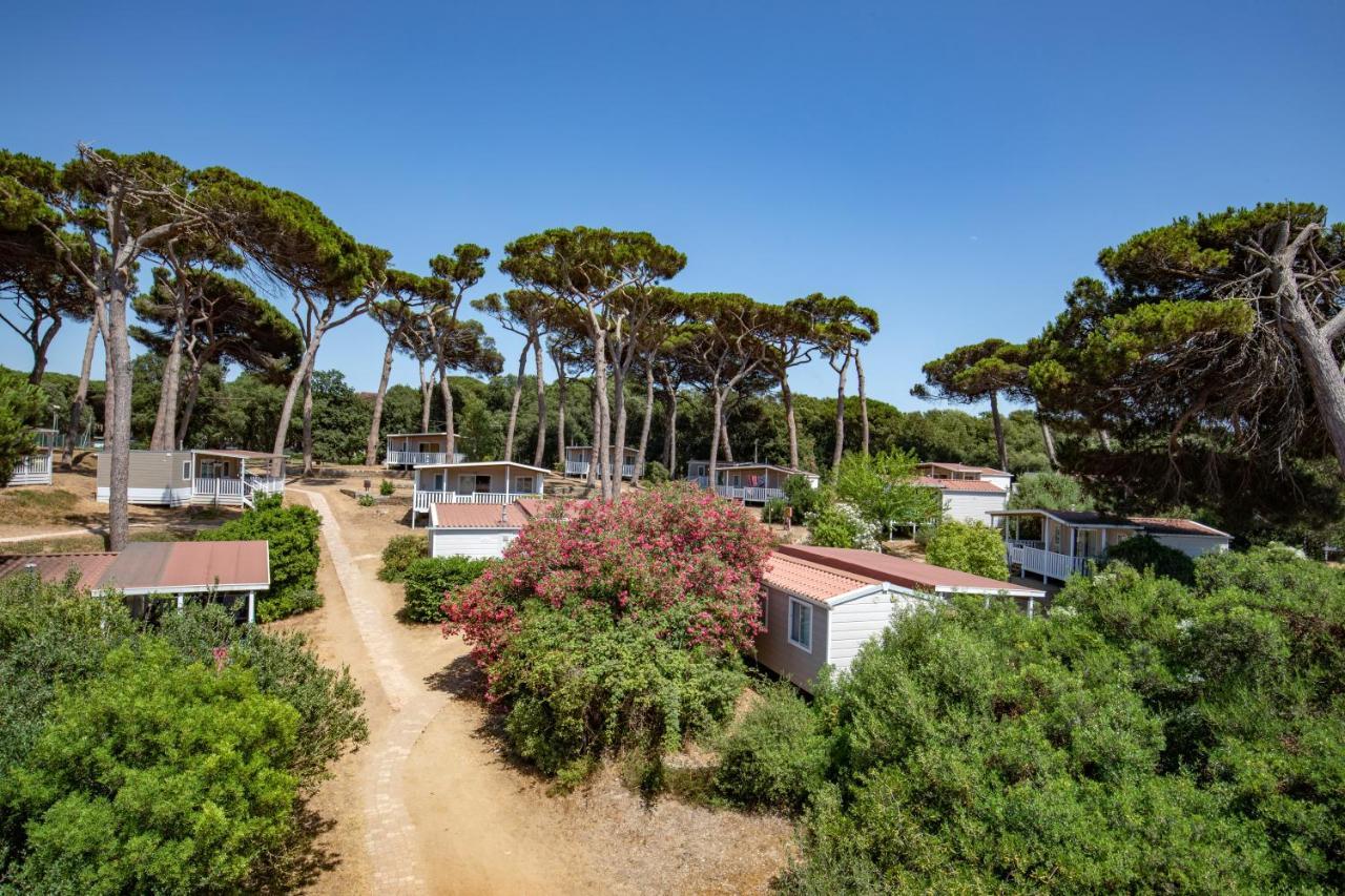 Parco Della Gallinara Lido dei Pini Εξωτερικό φωτογραφία
