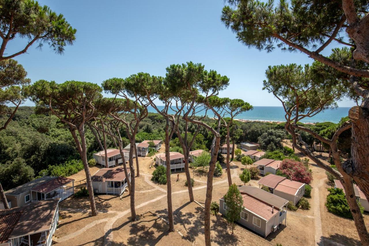 Parco Della Gallinara Lido dei Pini Εξωτερικό φωτογραφία