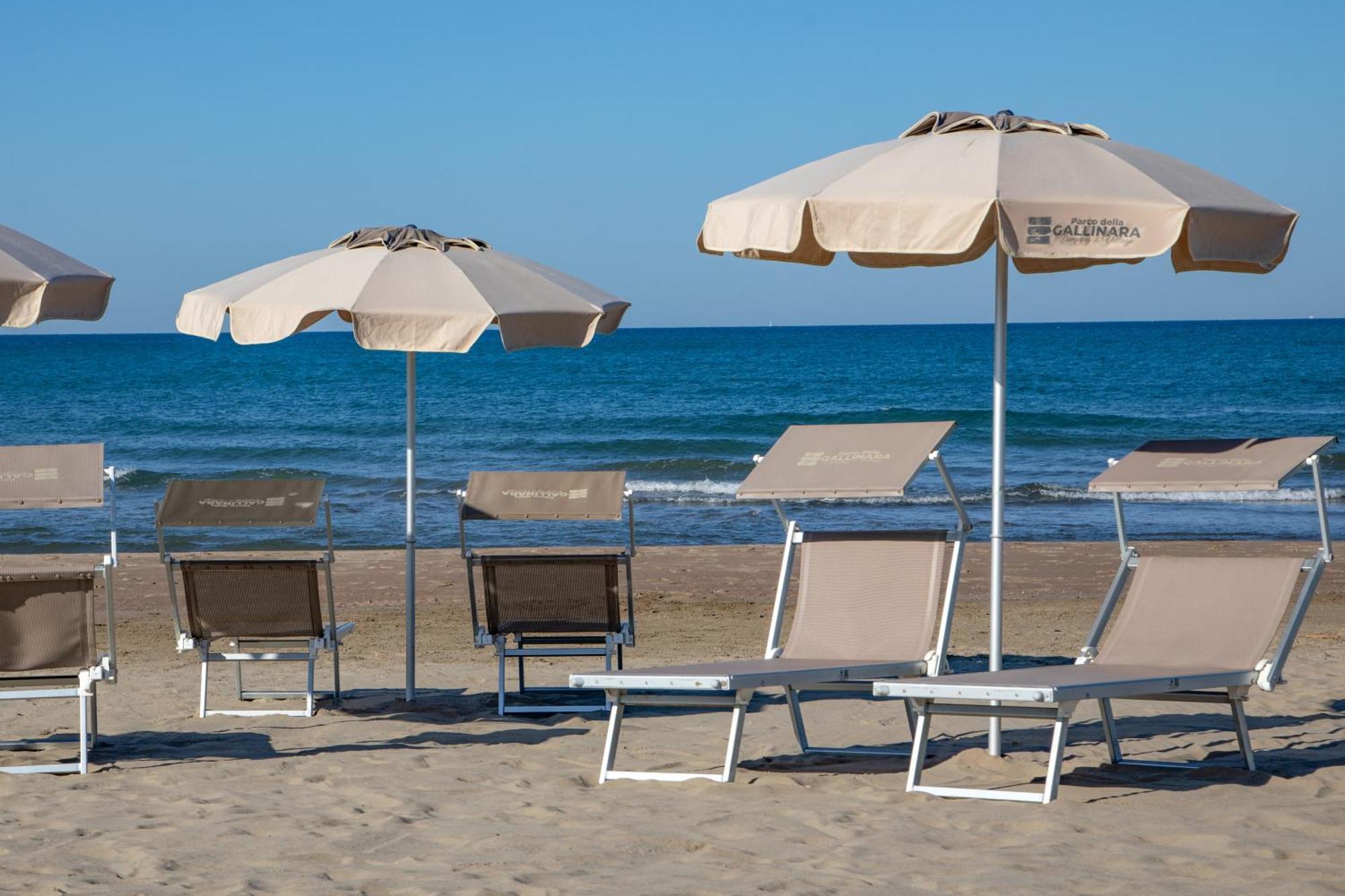Parco Della Gallinara Lido dei Pini Εξωτερικό φωτογραφία